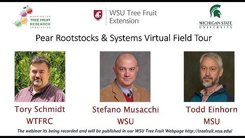 Pear Rootstock & Systems Virtual Field Tour Webinar