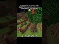 играю с подписчиками тут: Rasty.tech  #фантайм #minecraft #свойсервермайнкрафт