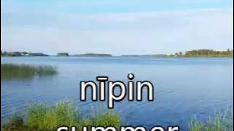 Six Seasons of the Woodland Cree