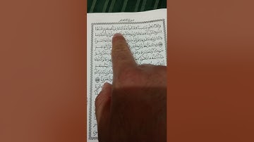 سورة الأنعام | الربع الثاني من الحزب الخامس عشر | ترتيل مؤثر وخاشع | Quran Part 2