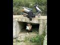 比智商看精彩 #看一遍笑一遍 #这操作也是没谁了😂😂 #意想不到的结局
