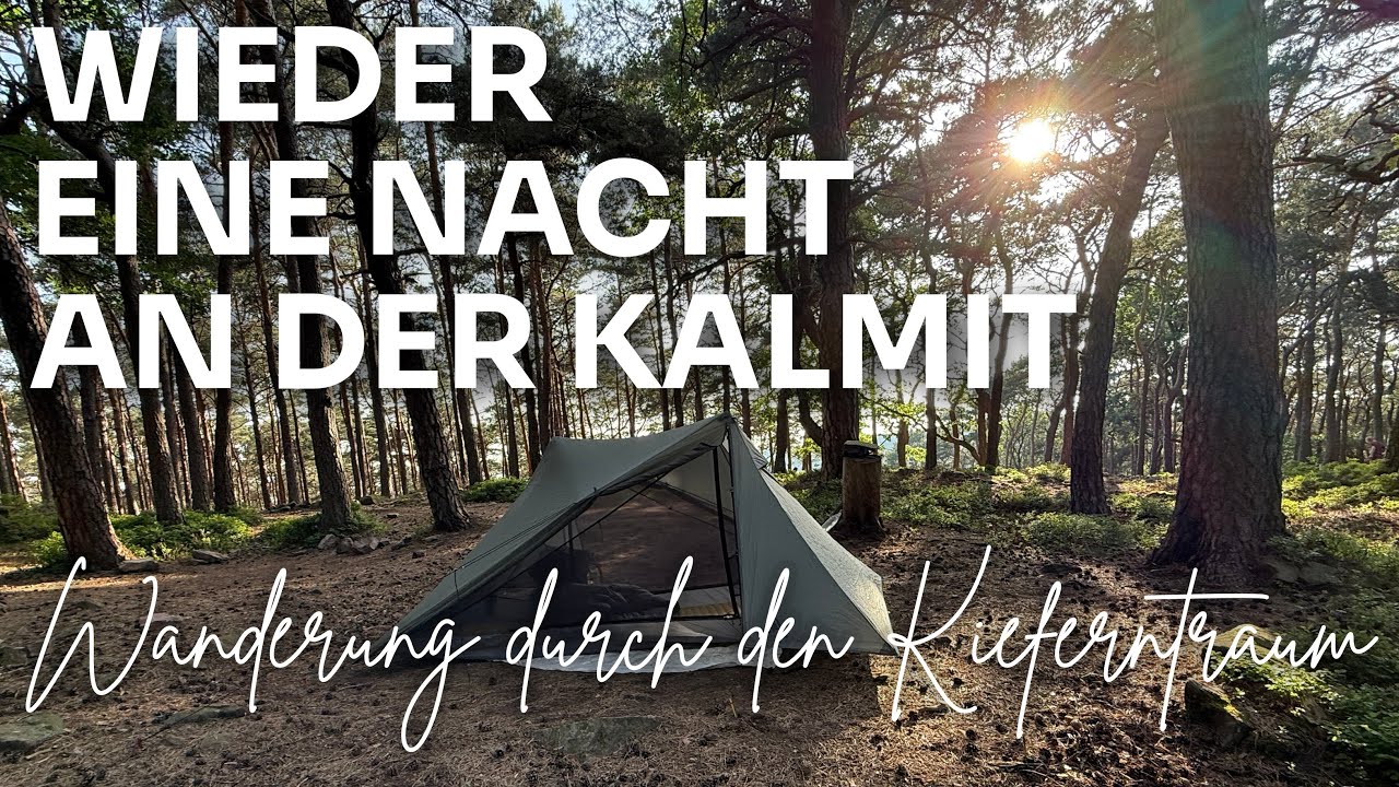 Wieder eine Nacht an der Kalmit | Wanderung durch den Kieferntraum | Trekking Pfalz