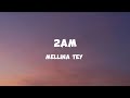 Mellina Tey 2am Lyrics