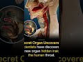 #humanbody #secret organ in human body