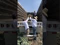 Десять лет роста — один удар. Внутри сорок килограммов сахара и будущая текила.