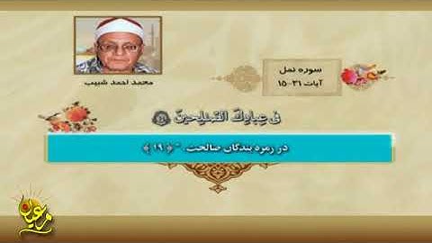 تلاوة رائعة جداً من سورة النـــمل 15 31   الشيخ محمد أحمد شبيب   جودة عالية