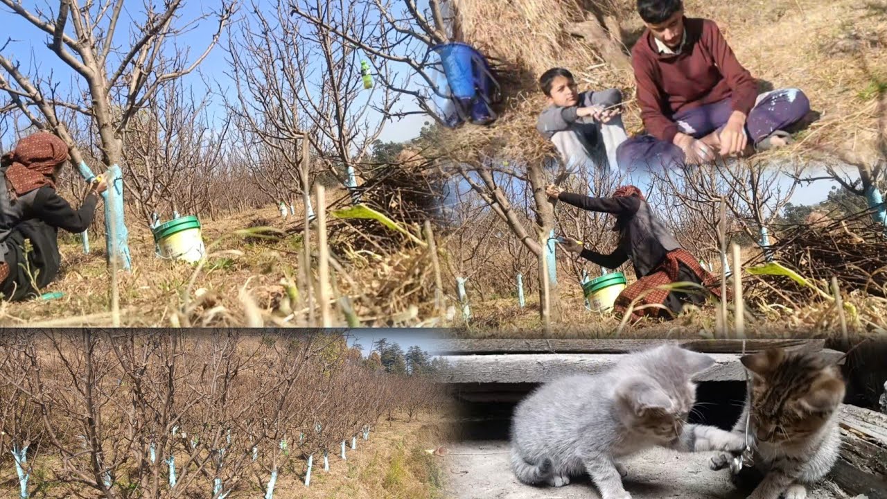 नई साल का नया काम 🥲।। Aaj se ek nye kaam ki shurwat ho gai ✨ ।। Verma Vlogs।। 