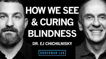How the Brain Works, Curing Blindness & How to Navigate a Career Path | Dr. E.J. Chichilnisky