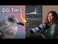 How I Edit Flat, Boring Bird Photos taken in Overcast days (Lightroom tutorial)