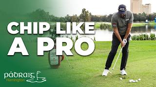 Learn How to Chip Like a Pro | Padraig Harrington
