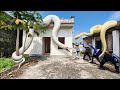 A team of brave experts searches for the giant python in the abandoned house.