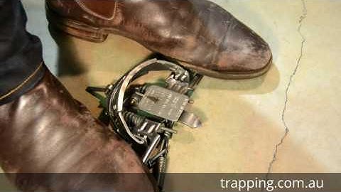 How to Set a Rabbit Trap