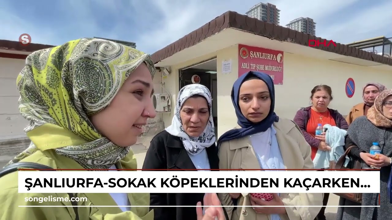 Şanlıurfa-Sokak köpeklerinden kaçarken 2 aracın çarptığı üniversiteli Sevda, yaşamını yitirdi /Vi...