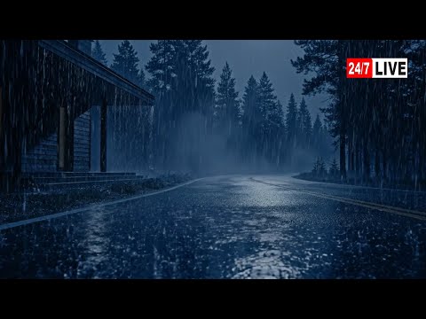 Barrulho de Chuva para Dormir Profundamente - Sons de Chuva no Telhado e Trovão #50 ASMR Relax