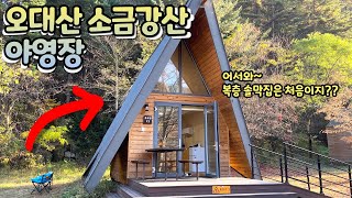 오대산국립공원 소금강산 야영장 솔막집 후기 ?️ | 콜맨 120주년 랜턴 언박싱 | 아우디 SQ5 캠핑 | 청담동 피양옥 어복쟁반 | 국립공원 야영장 | 국립공원야영장 캠핑 |