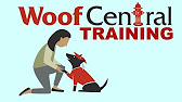 woof central dogs youtube