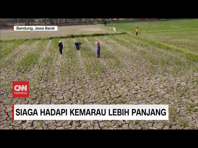 Siaga Hadapi Kemarau Lebih Panjang, Dampak Fenomena Iklim El Nino class=