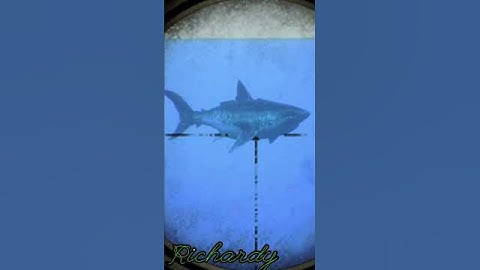 DOMANDO um Megalodon no ARK Survival #arksurvivalevolved #biologia #tubarão #viral #shorts #animal