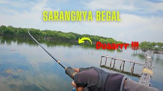 Lama Gak Mancing di Tambak ini, Sekarang Jadi Sarang Begal