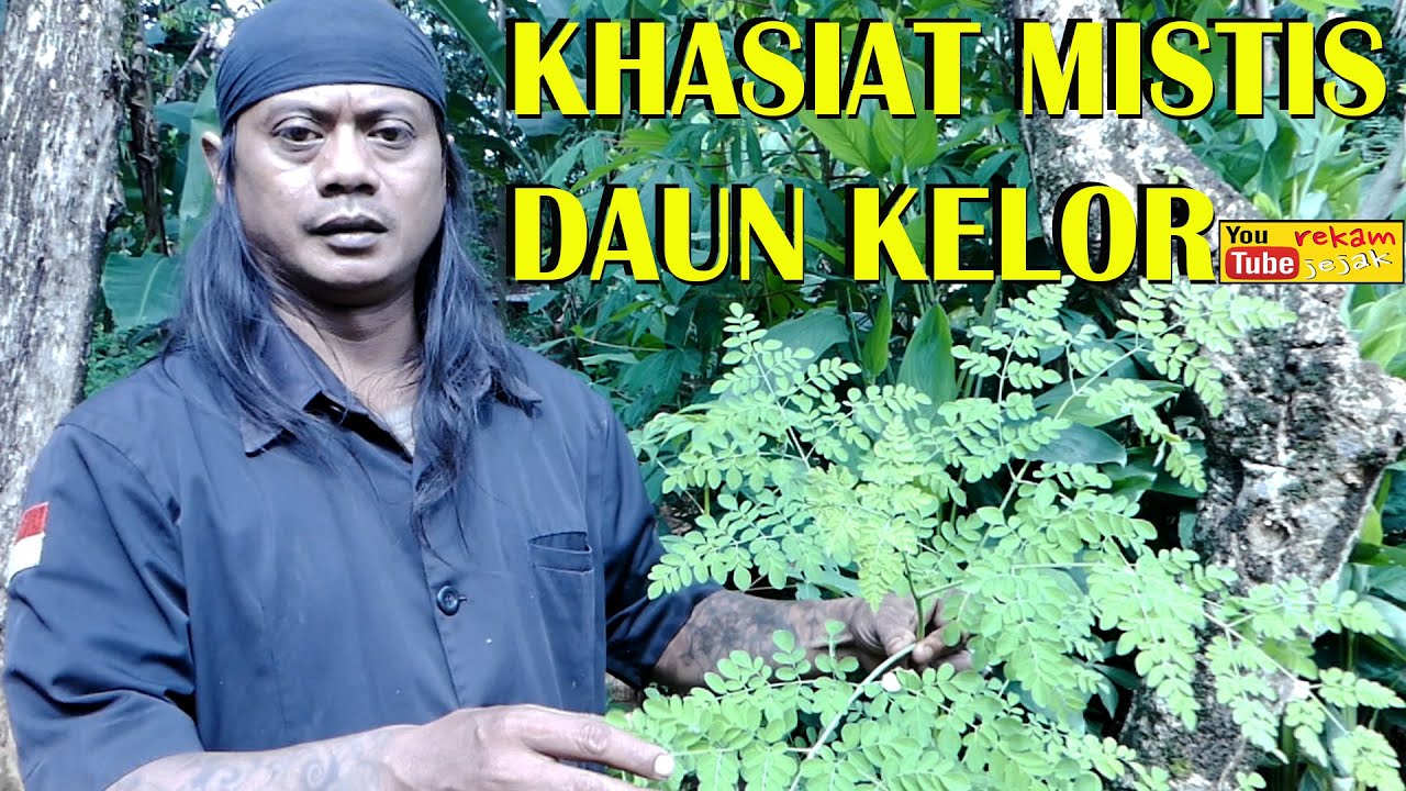Manfaat Daun Kelor Buat Pembersihan Aura 