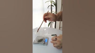 making green tea for soap making