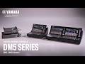DM5 Series: Forward Thinking