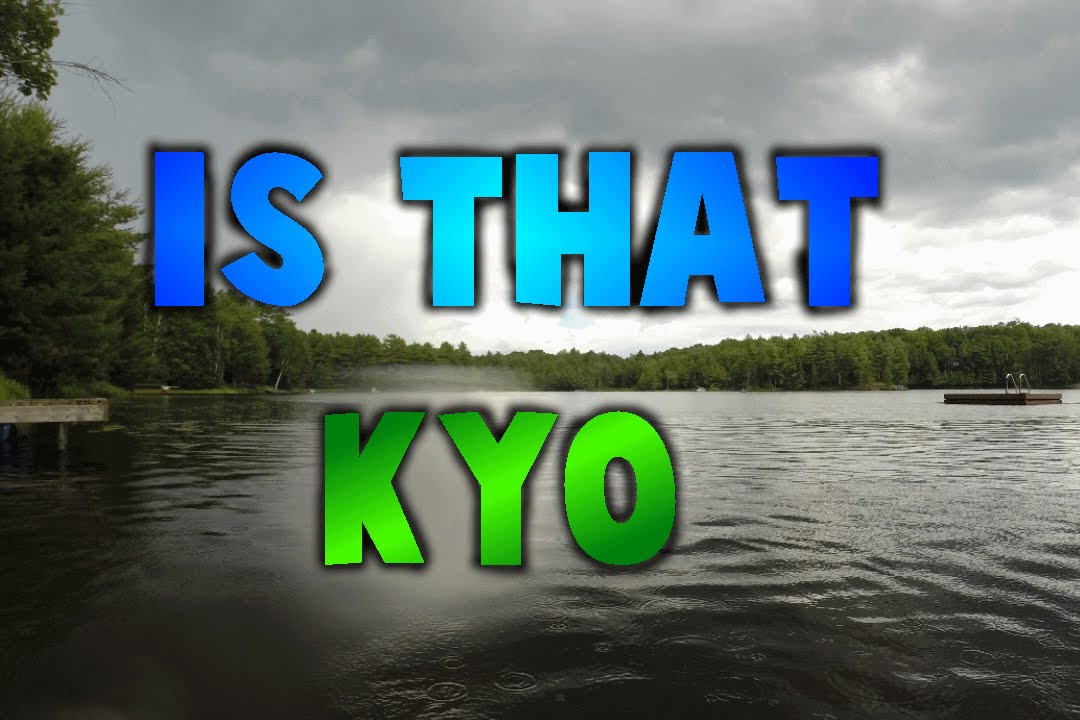 Is That Omg Kyo!!  / I Got Recognized!!!