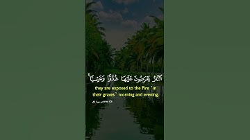 تلاوة خاشعة قران كريم راحة نفسية #quran #قران_كريم #راحة_نفسية #القرآن_الكريم
