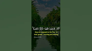 تلاوة خاشعة قران كريم راحة نفسية Quran قران كريم راحة نفسية القرآن الكريم 