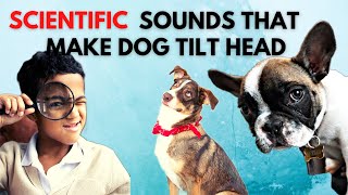 Scientifically proven sounds that grab dog attention |Part 1| Tony dog pedia screenshot 4