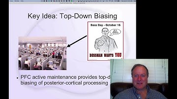 CCN Course 2020, Executive Function 1: Introduction