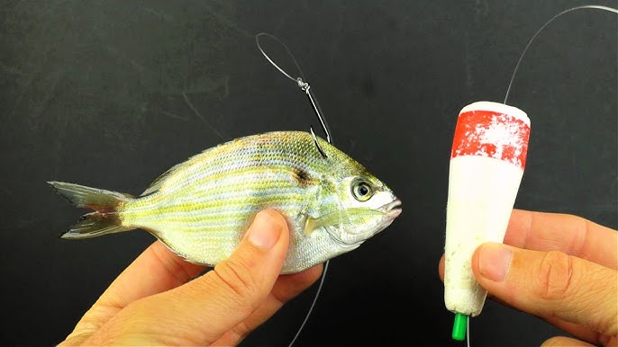 How To Chum For Pinfish (And Save Tons of Money) 