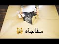 ايش تتوقعون وصلني ؟؟📦💃🏻