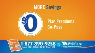 WellCare: 2018 WellCare Advantage