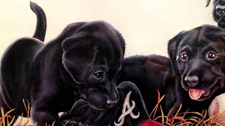 Johnny Lynch, Wildlife Artist