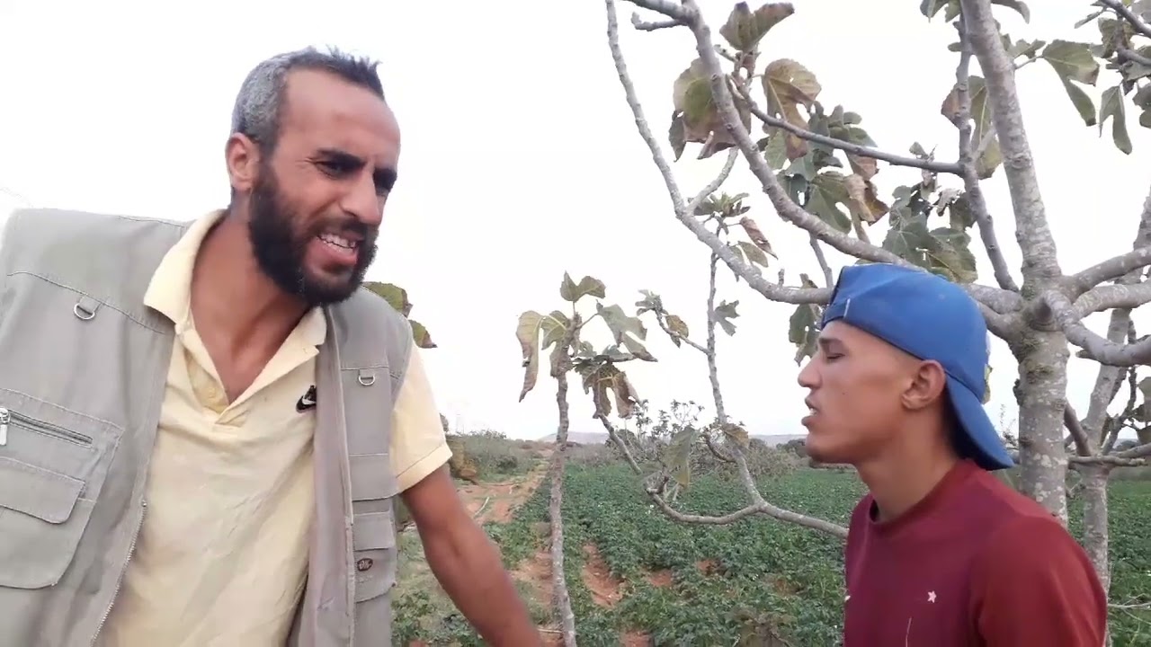 مقران و زربوط😂😂😂 غلاء الاسعار عدس ولوبيا