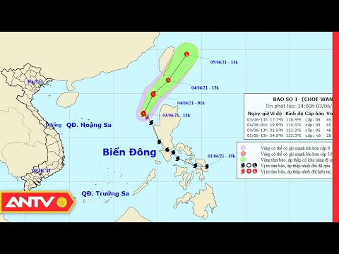 Cập nhật tin bão số 1 | ANTV