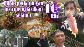 weekend berguna,,belajar pelihara burung,mancing dan masak ikan nila....😆👍🐦🐦🐟🐟🍽️🍸