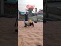 //खतरनाक कुश्ती 😱//#sports #viral #tranding #youtubeshorts #shorts #instagram #asmr