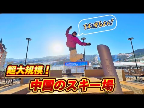 スキー Yoshi_cho Pink Yoshi 8