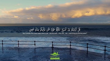 تلاوة رائعة: "قُلْ هُوَ الرَّحْمَٰنُ آمَنَّا بِهِ وَعَلَيْهِ تَوَكَّلْنَا ۖ " | سورة الملك | قرآن