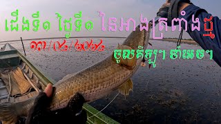ជើងទី១ថ្ងៃទី១-១៣/០៤/២០២៤| អាត្រពាំងថ្ម | រ៉ូសធំៗល្អណាស់​ | Fishing Snakehead At Trapeang Thma Lake|