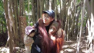 Bangkok Safari Monkey