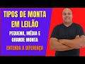 Tipo e classificação de monta em leilão - Pequena, média e grande monta