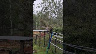 Tiada Kata Lelah Mencari Uang hujan Bukanlah Alasan shorts