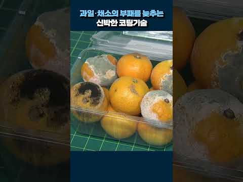 과일의 부패를 늦추는 기술 #shorts