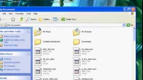 Adding Pokemon Black to your Action Replay DSi Code Manager