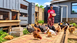 Simple African Village Life🍃||Outdoor Cooking,Growing Organic Food +Keeping Chicken