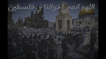 أواخر سورة النساء   |     بصوت القارئ عبدالرحمن الماجد