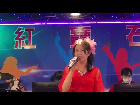 紅寶石2022年11月15日 華華